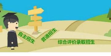 热综合热国产,探索能源变革与可持续发展之路